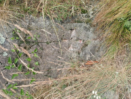 Croce di confine scolpita su un masso nei pressi dell'Oratorio, foto M. Uberti